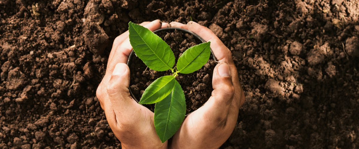 Connection with Soil